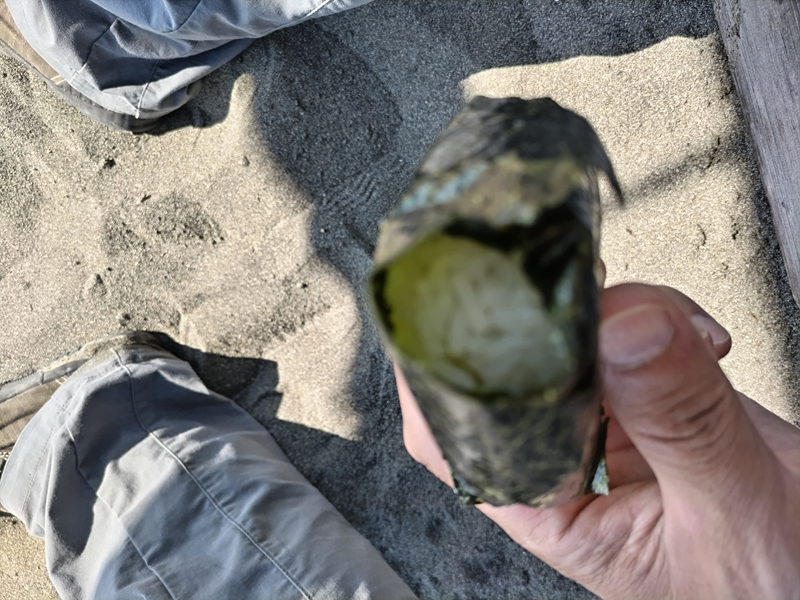 引きこもりだった齋藤健一が海岸清掃中に食べたおにぎりを掴んでいる様子