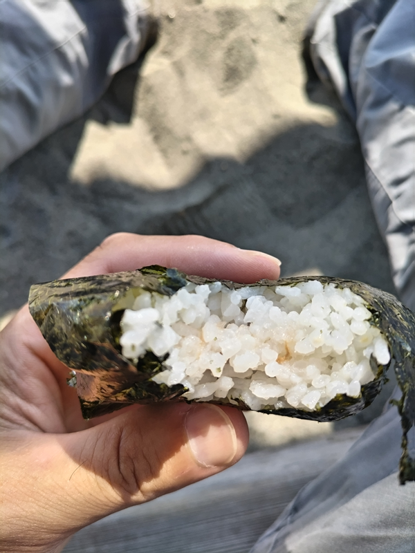 引きこもりだった齋藤健一が食べていた食べかけのオニギリ