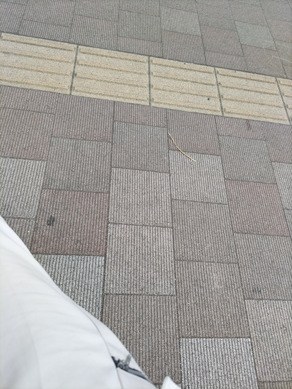 元ニートが撮影したＪＲ辻堂駅前の地面