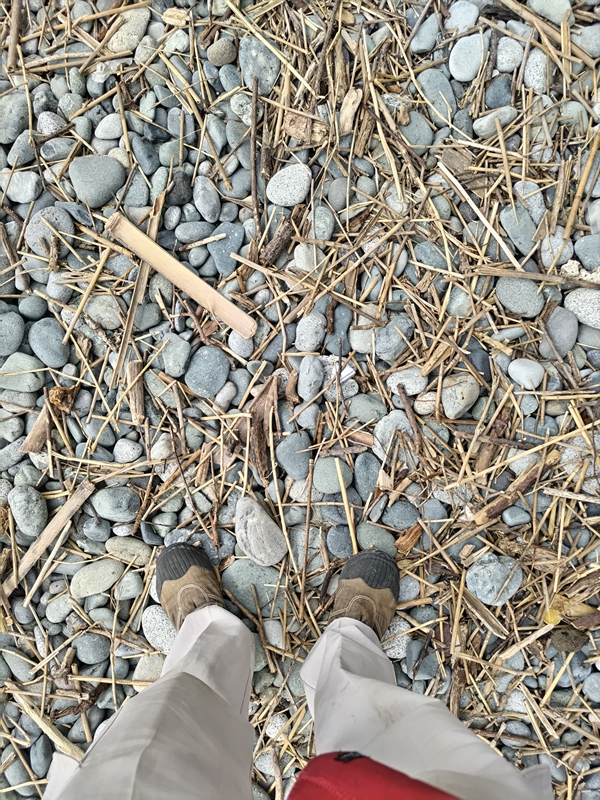 元引籠りニートが石ころの上に立っていた様子【二宮町の上町海岸】