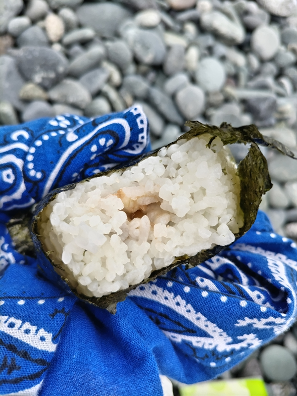 元引籠りニートの俺が食べていたコンビニおにぎりの食べかけ【二宮町の上町にて】