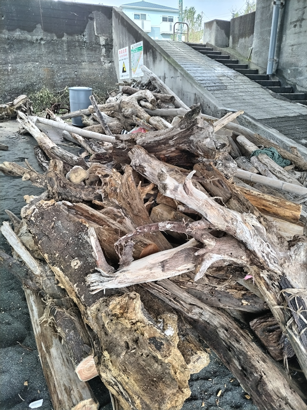 元引籠りニートが海岸清掃をしていた時に見ていた超大量の巨木の山