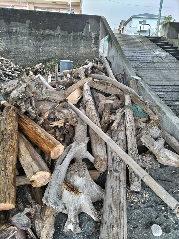 元ニート引籠りの俺が見ていた大量に集められた流木と丸太の山【神奈川県・国府津海岸にて】