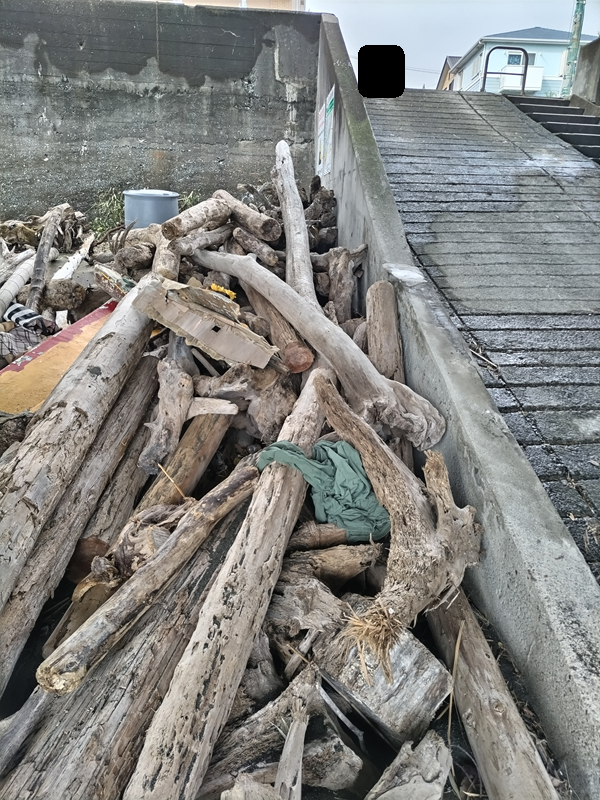 引籠りニートだった齋藤健一が国府津海岸へと続く斜面と、超大量の海岸漂着の流木を写したところ