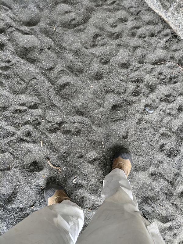 引籠りニートだった齋藤健一が国府津海岸の砂地に立っているところ