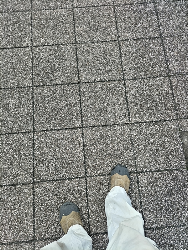 元引籠りニートの俺が国府津海岸近くの歩道を歩いているところ