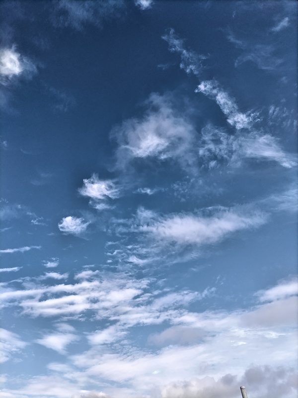 元ニート引籠りの齋藤健一が見ていた青く澄み渡った空