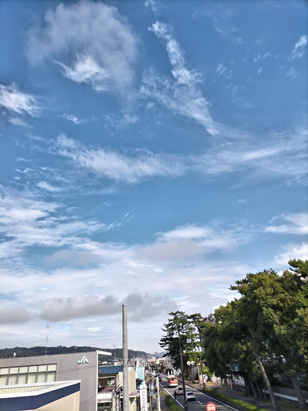 元ニートが見ていた青く澄み切った空と国道1号線の街路樹【国府津】