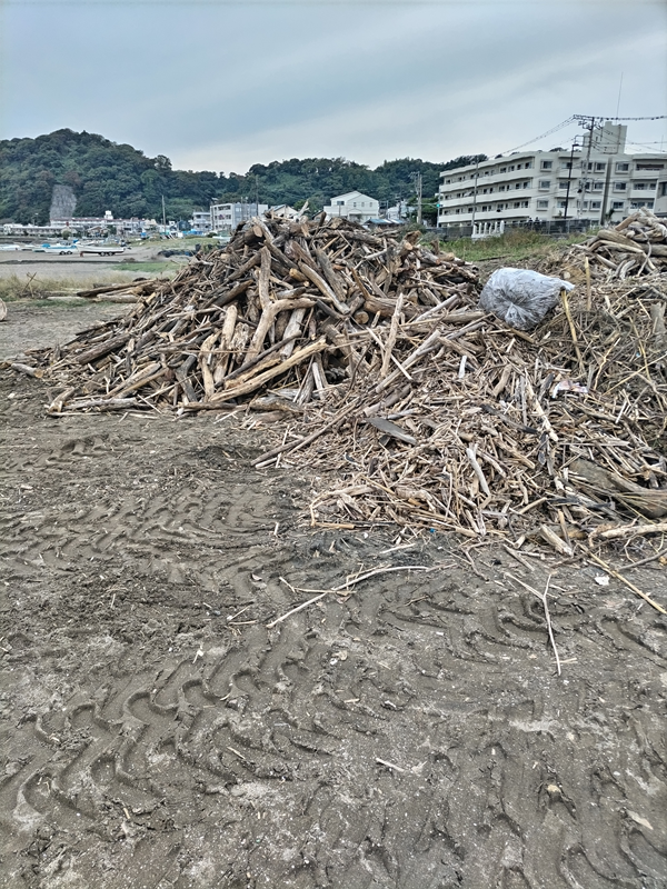 引籠りニートだった齋藤健一が山積みにしていた木くずの山と流木の山を見ているところ