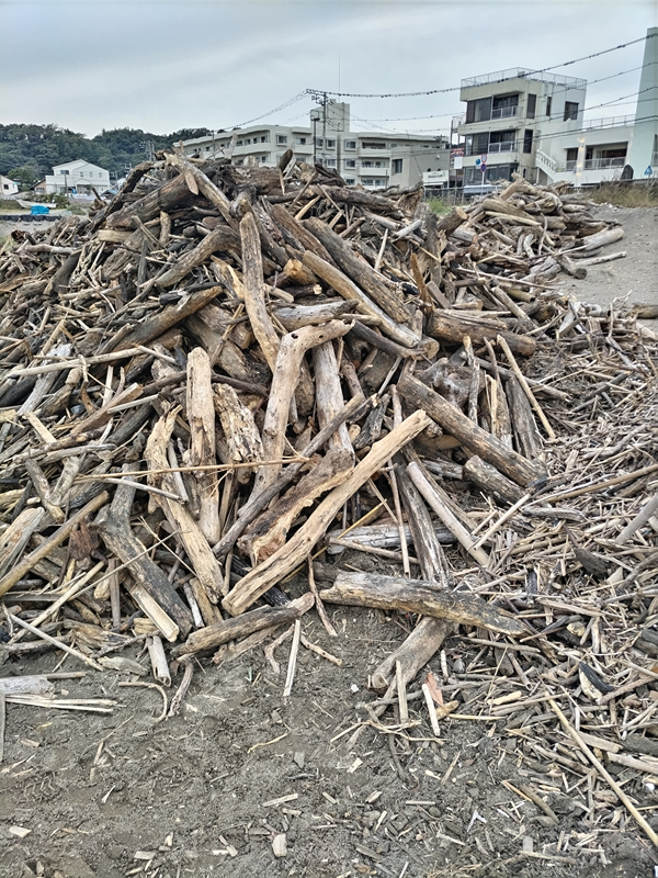 元ニート引籠りの齋藤健一が山積みにされた流木の山を見ているところ