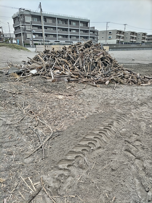 元ニート引籠りの齋藤健一が由比ガ浜海岸で見ていた大量の流木の山