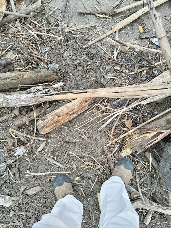 引籠りニートだった齋藤健一が見ていた木くず塗れの由比ガ浜海岸の地面