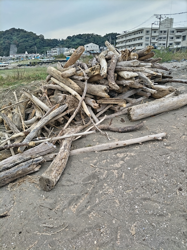 元引籠りニートの俺が見ていた由比ガ浜海岸に山積みにされた流木の山