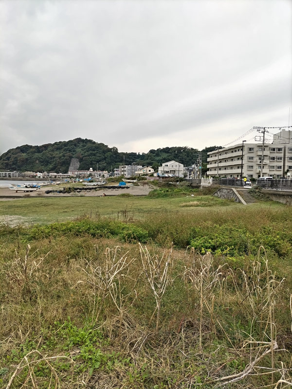 元ニート引籠りの齋藤健一が撮影した由比ガ浜海岸の西の方にある緑地