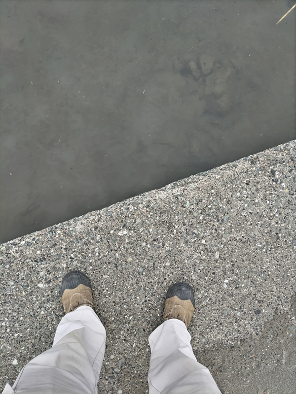 引籠りニートの俺が見ていた鎌倉市の由比ガ浜海岸の西にある川の縁