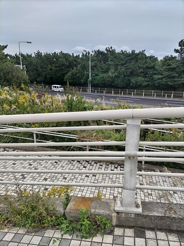 元引籠りニートの俺が見ていた歩道橋から見た国道134号線