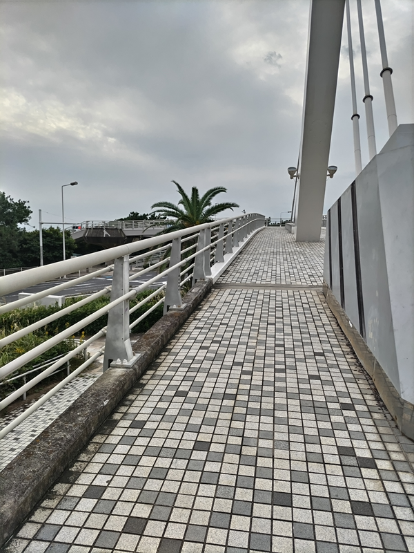 元ニート引籠りの俺が見ていた歩道橋