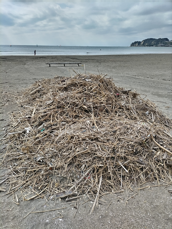 引籠りニートだった齋藤健一が見ていた材木座の海岸に積み上げられた漂着ゴミの木くずと、その先にあるベンチ