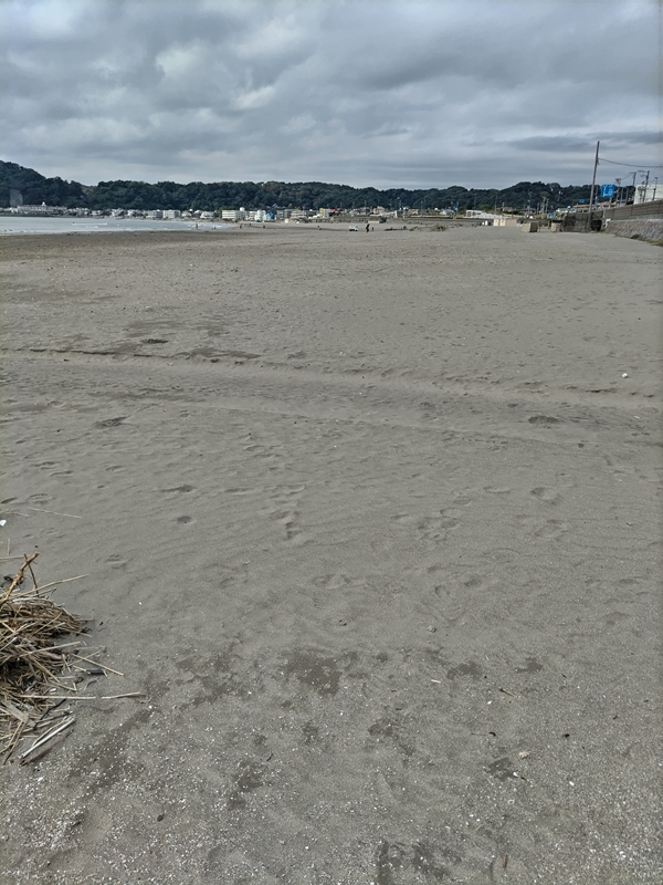 元引籠りニートが撮影した神奈川県・鎌倉市の材木座海岸の西の方の砂浜