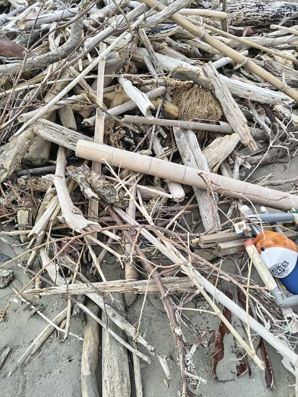 元引籠りだった齋藤健一が山積みにされた竹くずと流木とオレンジ色の帽子を見ているところ【神奈川県・鎌倉市・材木座にて】