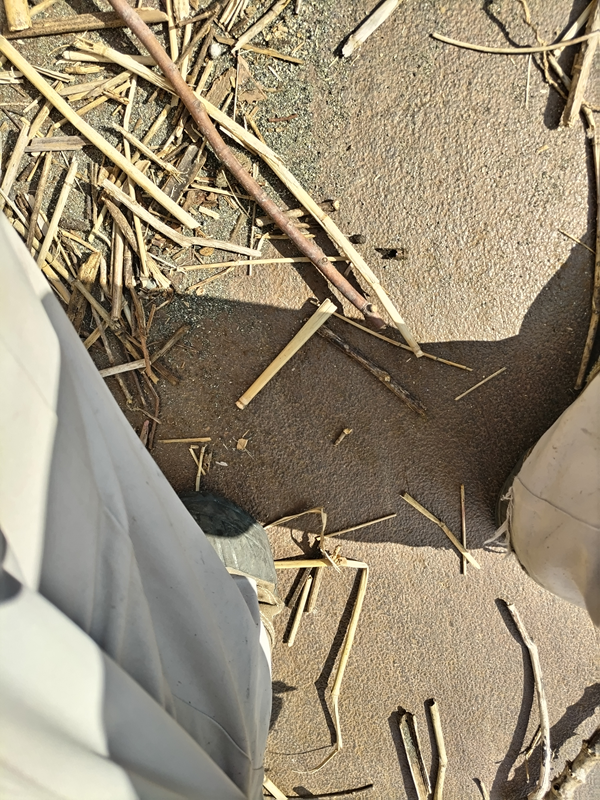 元引籠りニートの俺がトラックの茶色い荷台にいる場面