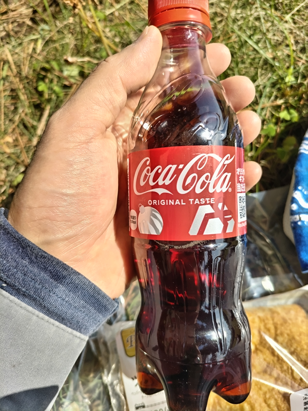 引籠りニートだった齋藤健一が持っていた糖分入りのコカ・コーラのペットボトル小サイズ