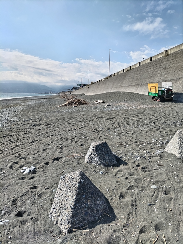 引籠りニートだった齋藤健一が神奈川県の二宮の押切海岸に積まれた流木の山とキャリアダンプを見ているところ
