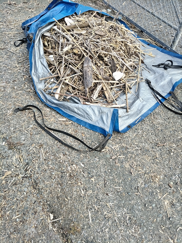 元ニート引籠りの俺が二宮町の押切海岸上の駐車スペースに置かれたブルーのカバーの上に積み上げられた木くず類を見ているところ