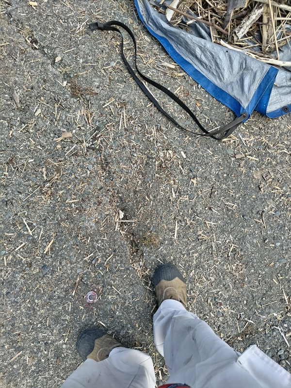 引籠りニートだった齋藤健一が二宮町の押切海岸上にある駐車スペースに立っているところ