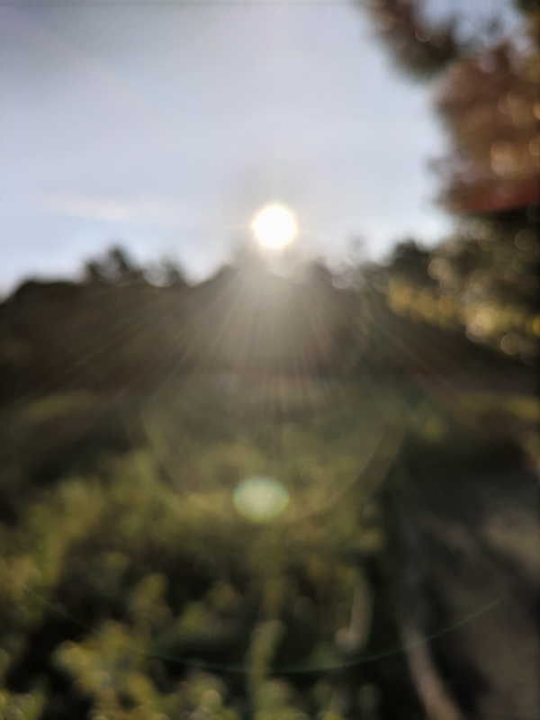 引籠りニートだった齋藤健一が撮影したぼやけた早朝の太陽