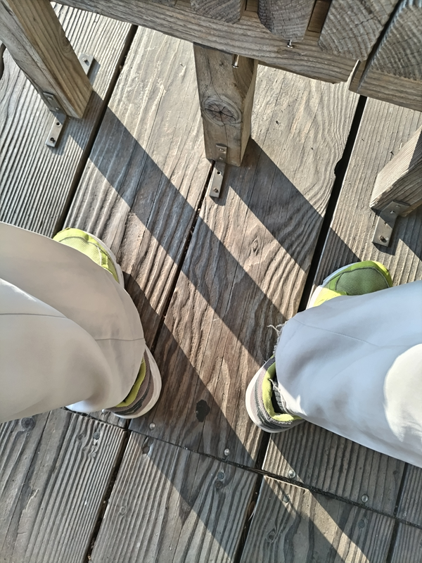 引籠りニートだった齋藤健一が早朝七時に座っていたベンチの前の床