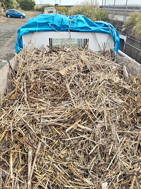 引籠りニートだった齋藤健一が撮影した木くず満載のトラックの上