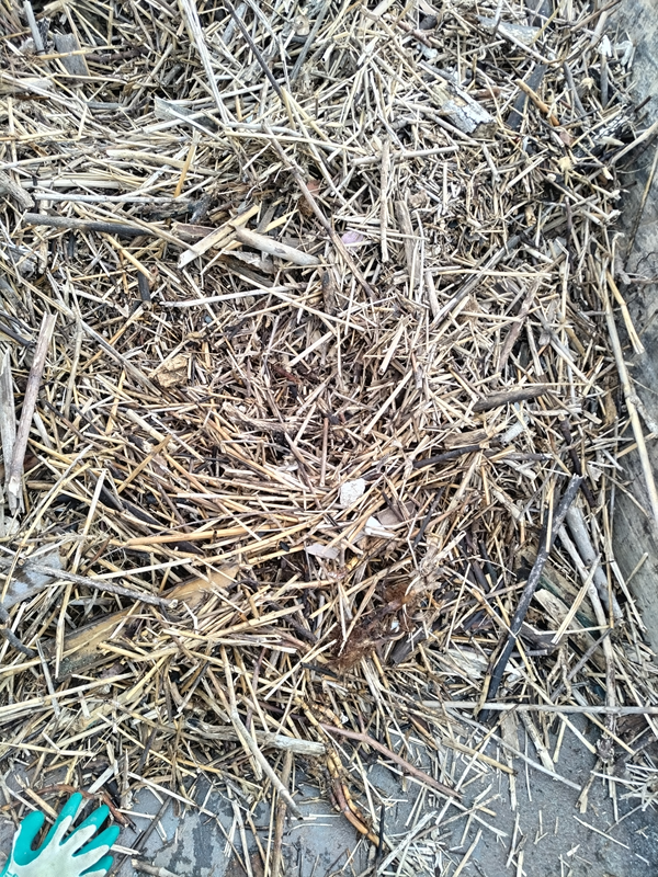 引籠りニートだった齋藤健一がトラックの荷台に積み込んだ超大量の木くず