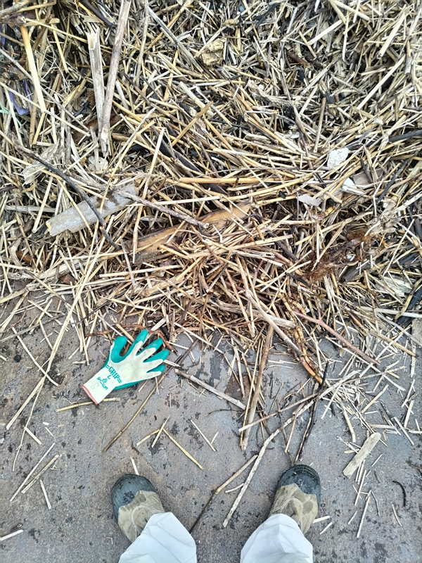 元ニート引籠りの齋藤健一の緑色の作業用手袋と大量の木くずがトラックの荷台に乗せられているところ