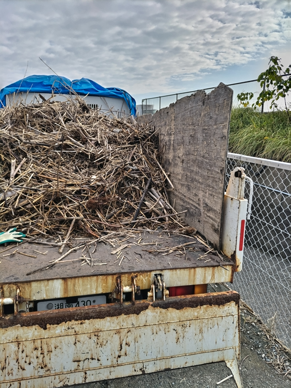 元ニート引籠りの齋藤健一が二宮町の押切海岸に駐車されたトラックに積まれた木くずゴミを見ているところ