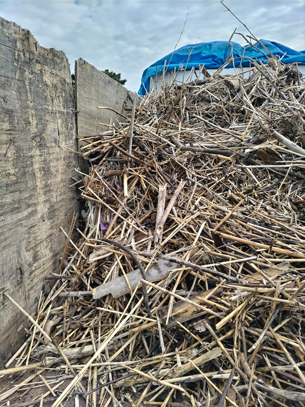 引籠りニートだった齋藤健一がトラックの荷台に積み込んだ沢山の木くずゴミと竹のゴミ