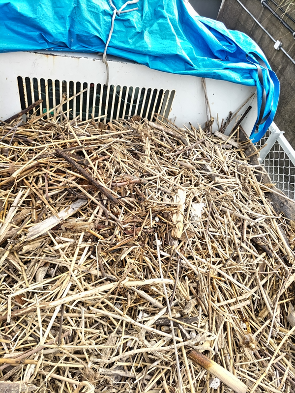 元引籠りニートの齋藤健一がトラックの荷台に積み込んだ超大量の木くずゴミ