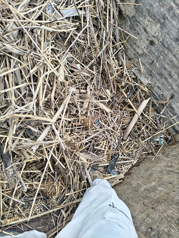 元ニートの齋藤健一がトラックに積み込んだ超大量の木くずゴミを踏んでいるところ