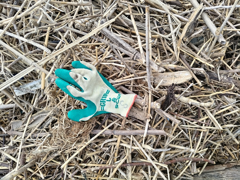 引籠りニートだった齋藤健一が二宮町の押切海岸から出た大量の木くずゴミの上に置いた緑色の作業用手袋
