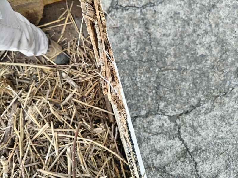 引籠りニートだった齋藤健一が撮影したトラックの荷台の仕切り板