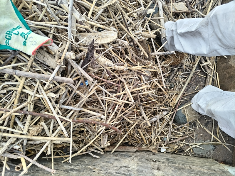 引籠りニートだった齋藤健一が立っていたトラックの荷台の中