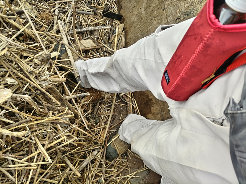 引籠りニートだった齋藤健一が踏んでいたトラックの荷台に積み込まれた大量の木くずゴミと赤いペットボトル入れ