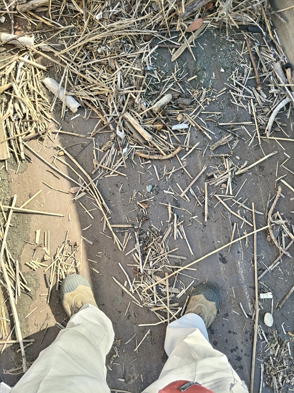 元引籠りニートの俺が二宮町の押切海岸上の駐車場に停めたトラックの荷台に立っている様子