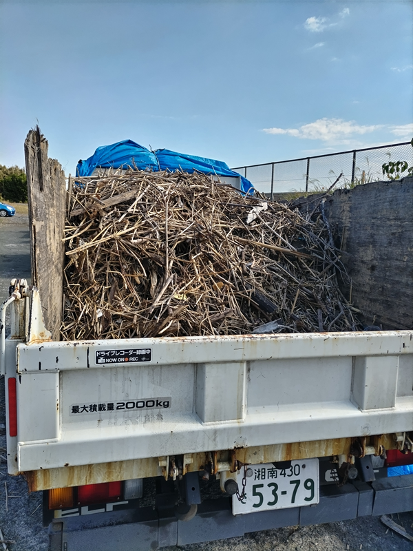 元引籠りニートの俺が見た海岸清掃用のトラックに木くずが満載されている様子