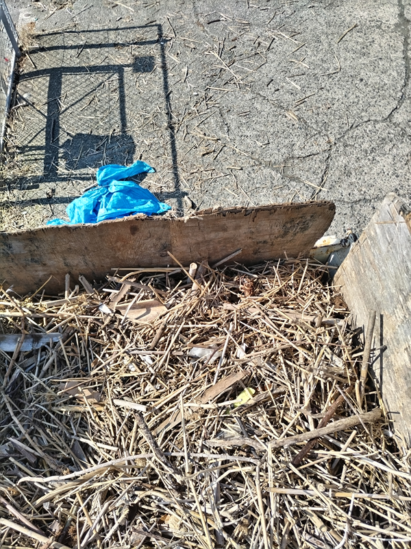 引籠りニートだった齋藤健一がトラックに積んだ大量の木くずゴミを木くずの上に乗りつつ見下ろした様子