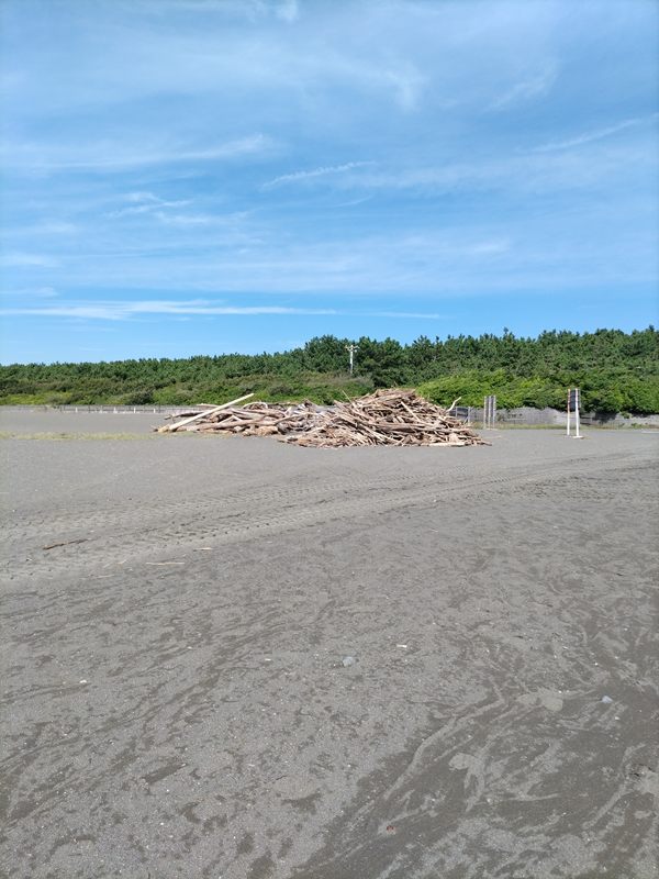 元ニート引籠りが撮影した平塚市ビーチセンター前の砂浜に積み上げられた巨大な流木の山