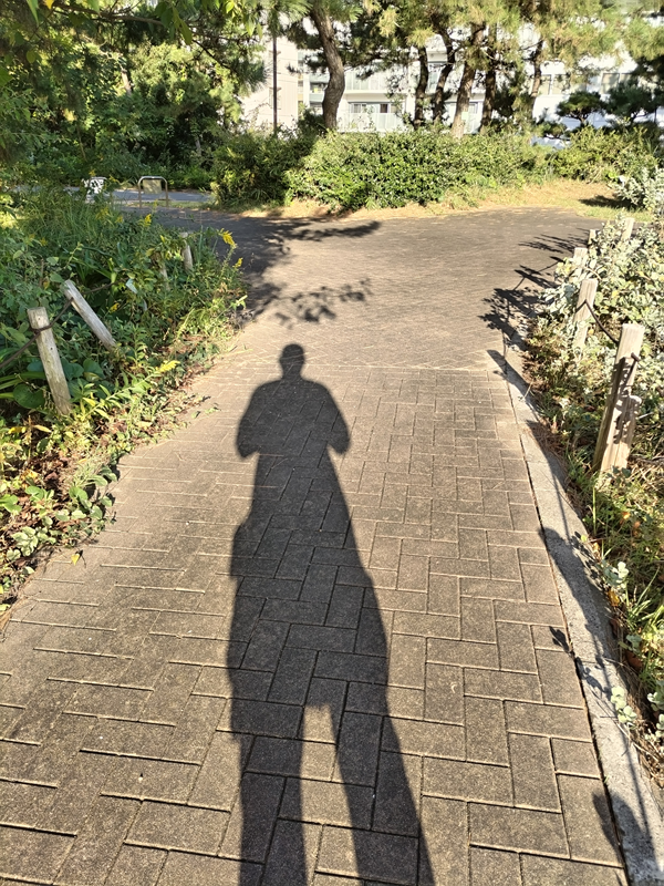 元引籠りニートの俺が立っていた自然公園内のタイル張りの地面に伸びる影