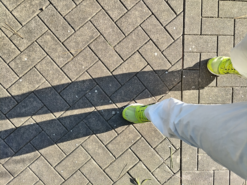 元ニート引籠りの齋藤健一が歩いていた自然公園内に伸びる影【早朝七時台前半】