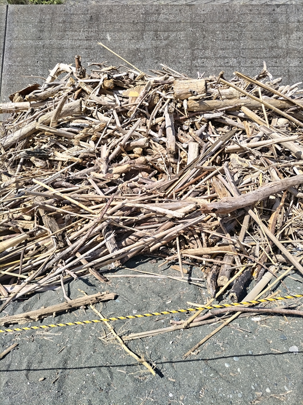 元ニート引籠りの齋藤健一が見た積み上げらた木くずの山【梅沢海岸にて】