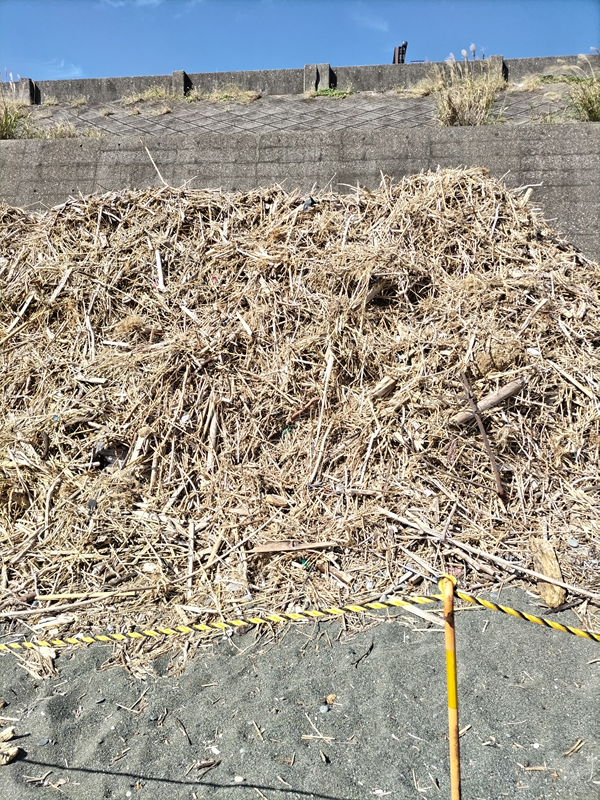 元ニート引籠りの齋藤健一が見た大量に積み上げられた木くずと、その前に張られた黄色いロープ